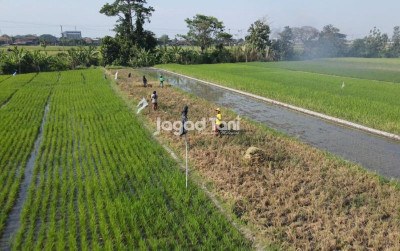 uploads/news/2026/03/negara-negara-dengan-luas-lahan-36434f8c7037a3f_400.jpeg