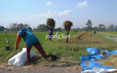 uploads/news/2026/03/nilai-impor-produk-pertanian-862385105c00480_400.jpeg