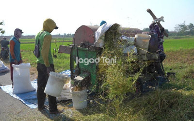 uploads/news/2026/03/panen-raya-beras-majalengka-228130337d68b2e_400.jpg