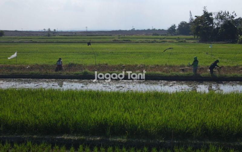 uploads/news/2026/03/perbaikan-jalan-sulawesi-selatan--932115be246f044.jpeg