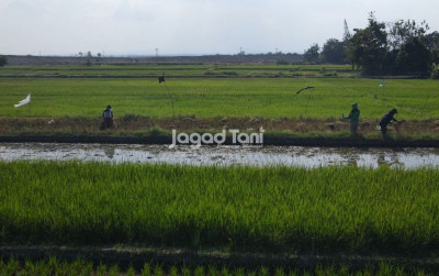 uploads/news/2026/03/perbaikan-jalan-sulawesi-selatan--932115be246f044_400.jpeg