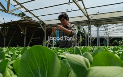 uploads/news/2026/03/perjalanan-pagi-farm-dari-663021e8a49baf5_400.jpeg