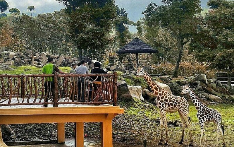 uploads/news/2026/03/rekomendasi-wisata-lebaran-edukatif-665905a7d917d0e.jpg