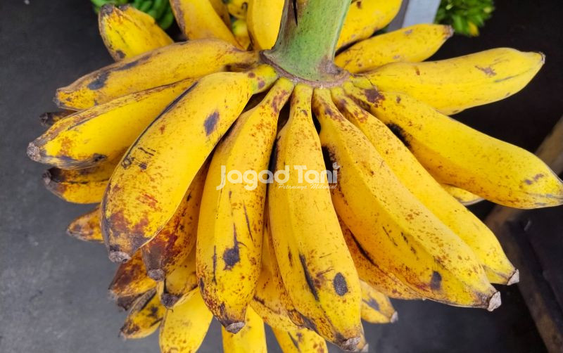 uploads/news/2026/03/sajian-menu-takjil-berbahan-80193311df11e16.jpg