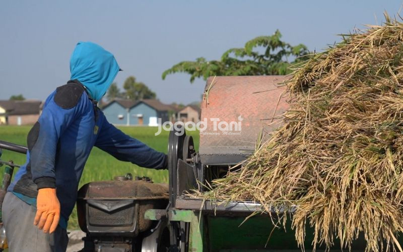 uploads/news/2026/03/sebanyak-7-124-kg-gkp-3437317b96d773a.jpeg