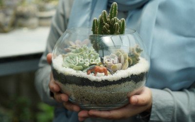 uploads/news/2026/03/terarium-dunia-mini-hijau-98419ca5440c5fb_400.jpeg