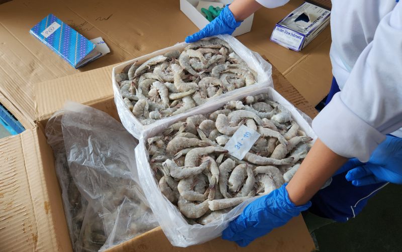 uploads/news/2026/03/udang-vannamei-maluku-tengah-169755a4a49e37e.jpeg