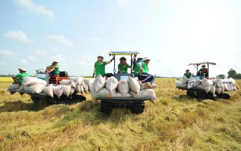 uploads/news/2026/03/vietnam-minta-petani-tingkatkan-53563b4a9ddac73.jpeg