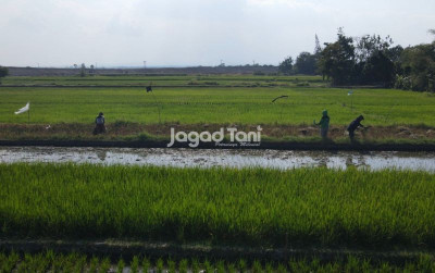 uploads/news/2026/04/-28-100-hektare-lahan-petanian-71375202426a737_400.jpg