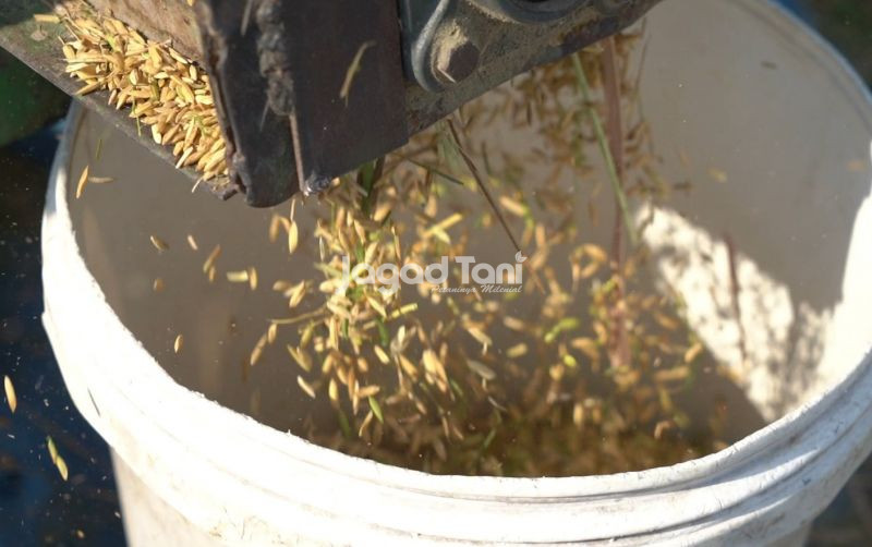 uploads/news/2026/04/antisipasi-dinamika-global-stok-37278493f5f4f38.jpeg