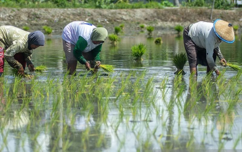 uploads/news/2026/04/antisipasi-el-nino-16-provinsi-639838f437cf053.png