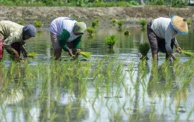 uploads/news/2026/04/antisipasi-el-nino-16-provinsi-639838f437cf053_400.png