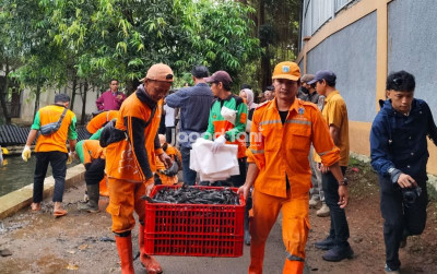 uploads/news/2026/04/bukan-cuma-ikan-sapu-sapu--53411ae8d885323_400.jpeg