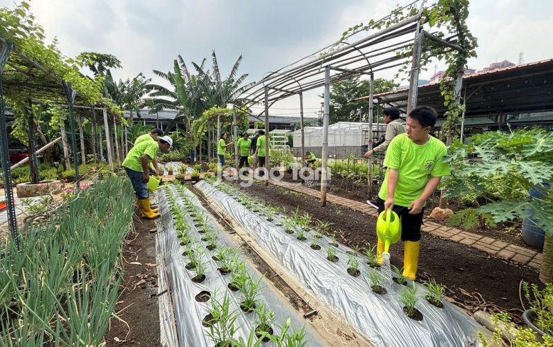 uploads/news/2026/04/dana-hibah-tanaman-irigasi-petani-21029b7b9d95e68.jpeg