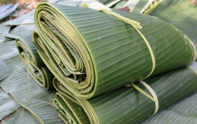 uploads/news/2026/04/harga-plastik-naik-daun-42199b2a142aa4d_400.jpg