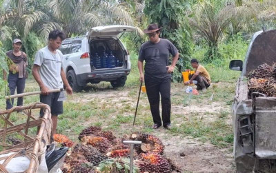 uploads/news/2026/04/harga-tbs-sawit-riau-851656fb244099e_400.jpg