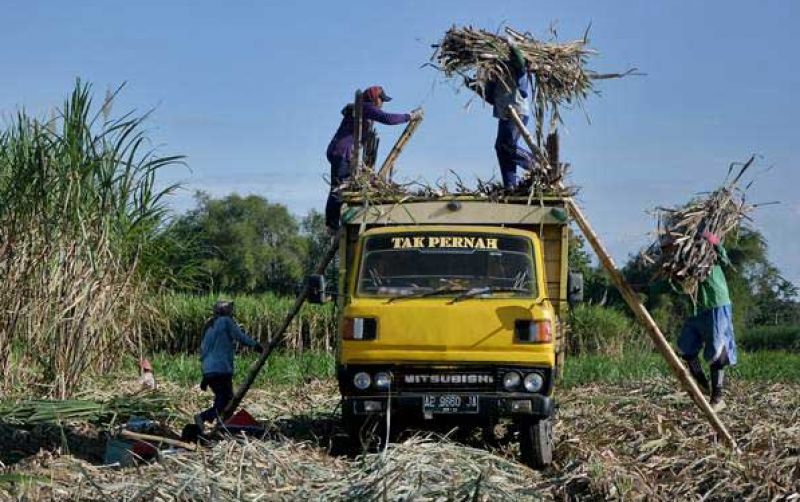 uploads/news/2026/04/hasil-perkebunan-mulai-digeser-780070371268e0f.jpg