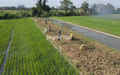uploads/news/2026/04/indonesia-menuju-5-juta-615629aa877330f_400.jpeg