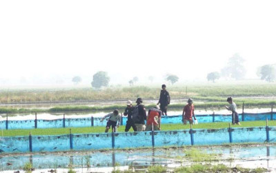 uploads/news/2026/04/karawang-pimpin-gerakan-pengendalian-740198a490869b5_400.jpeg
