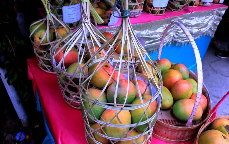 uploads/news/2026/04/kembangkan-mangga-dan-cabai-74968e2123a7530.jpg