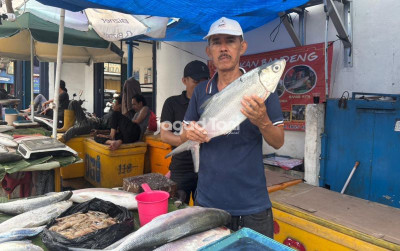 uploads/news/2026/04/manfaat-mengkonsumsi-ikan-sebagai-94866432386193c_400.jpeg