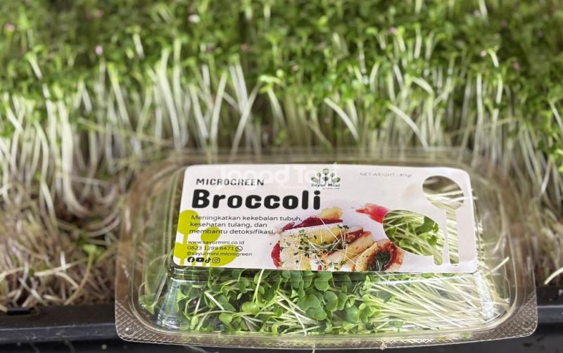 uploads/news/2026/04/microgreen-jadi-peluang-usaha-72193b8c9459589.jpeg