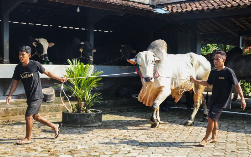 uploads/news/2026/04/milenial-purworejo-mampu-hasilkan-195006322167e52.jpg