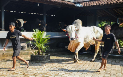 uploads/news/2026/04/milenial-purworejo-mampu-hasilkan-195006322167e52_400.jpg