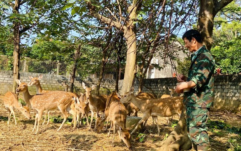 uploads/news/2026/04/musim-panen-tanduk-rusa-182369708ee52ea.jpg