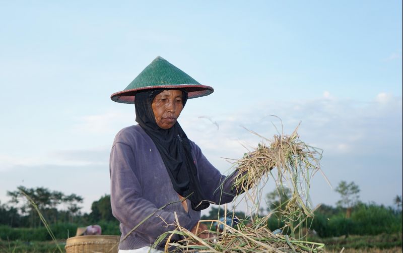 uploads/news/2026/04/opini-menyemai-makna-kartini-15255e9024636b4.jpg