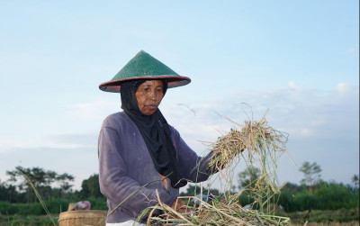 uploads/news/2026/04/opini-menyemai-makna-kartini-15255e9024636b4_400.jpg