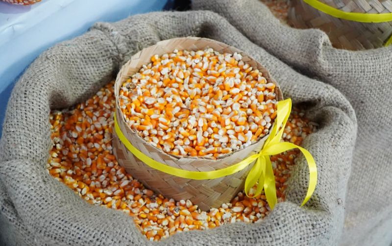 uploads/news/2026/04/penyaluran-jagung-pakan-sphp-2335021fde303f1.jpeg