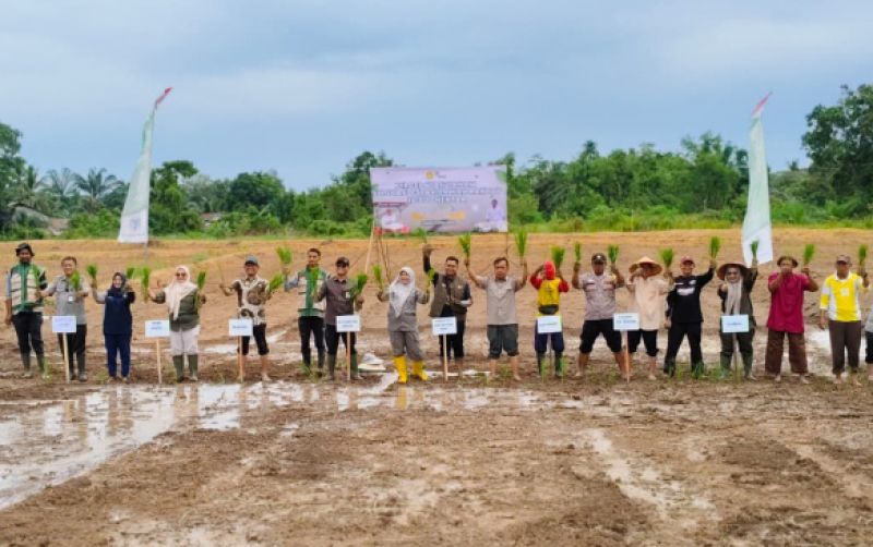 uploads/news/2026/04/percepatan-tanam-10-000-hektare-243572278bfe5b2.jpg