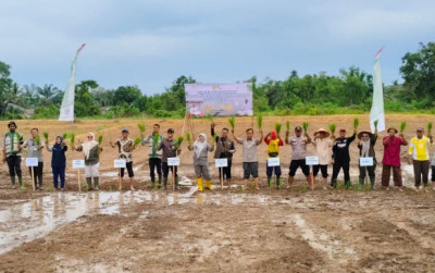 uploads/news/2026/04/percepatan-tanam-10-000-hektare-243572278bfe5b2_400.jpg