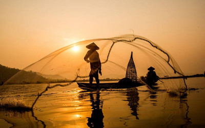 uploads/news/2026/04/pilihan-ikan-lokal-untuk-9754156acdffdfc_400.jpg