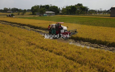 uploads/news/2026/04/rehabilitasi-sawah-pascabencana-di-563605b5f5374c1_400.jpeg