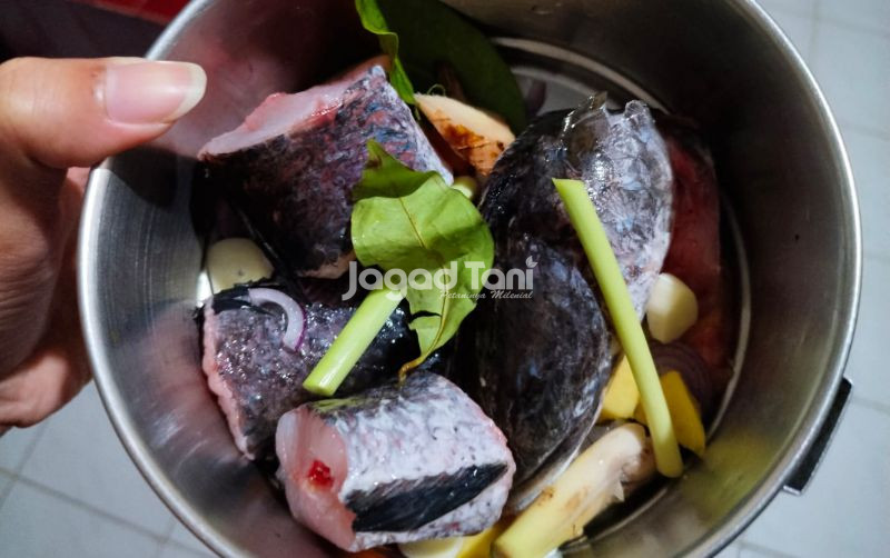 uploads/news/2026/04/resep-ikan-gabus-kukus-76859f97d5198cb.jpg