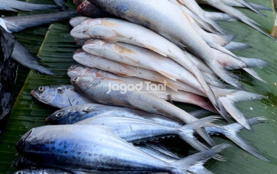 uploads/news/2026/04/siap-bugarkan-strategi-kabupaten-75253bd2f9ec520_400.jpeg