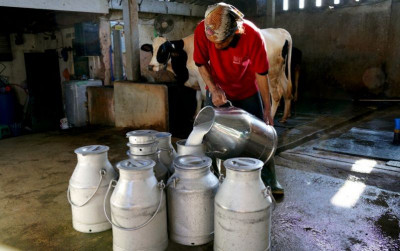 uploads/news/2026/04/susu-sapi-mendapat-akses-29557b3364365df_400.jpeg