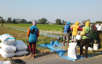 uploads/news/2026/04/tiga-lapisan-pangan-indonesia--402155105c00480_400.jpeg