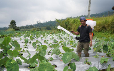 uploads/news/2026/04/transformasi-petani-dari-semprot-71510a56c986621_400.jpeg