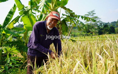 uploads/news/2026/05/catatan-petani-tentang-beras-220998ce7de36fe_400.jpeg