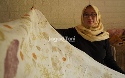 uploads/news/2026/05/ecoprint-seni-mengolah-daun-14634d356e1718e_400.jpeg