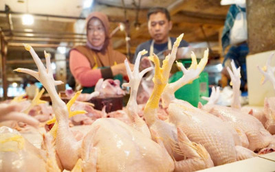 uploads/news/2026/05/indeks-perkembangan-harga-pangan--115584a76a27d8c_400.jpeg