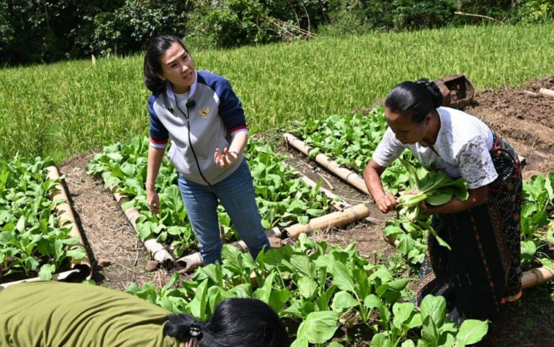 uploads/news/2026/05/kebun-perempuan-jadi-ruang-75300ff7b178826.jpeg