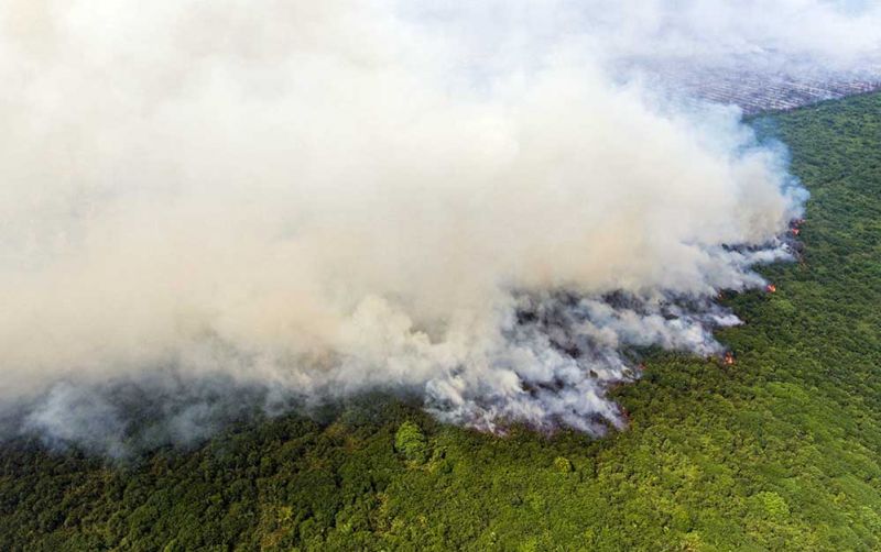 uploads/news/2026/05/langkah-antisipasi-kebakaran-hutan-620734f5c35350e.jpg
