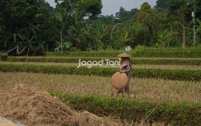 uploads/news/2026/05/menjaga-surga-yang-tersisa-8134650437e4287_400.jpeg