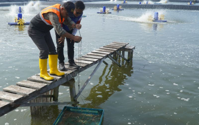 uploads/news/2026/05/panen-lanjutan-bubk-kebumen-47650be38a25ee4_400.jpg