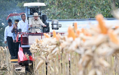 uploads/news/2026/05/panen-raya-jagung-tuban-49446980a23f5ff_400.jpg