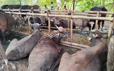 uploads/news/2026/05/penguatan-sdm-kunci-cegah-442797e7e04c538_400.jpeg